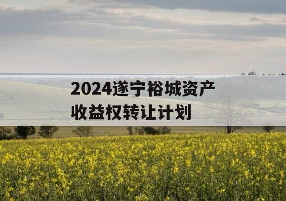 2024遂宁裕城资产收益权转让计划