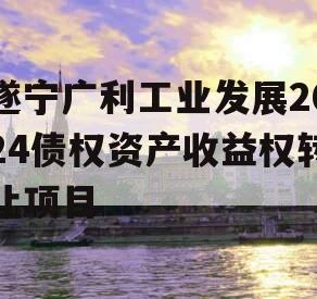 遂宁广利工业发展2024债权资产收益权转让项目