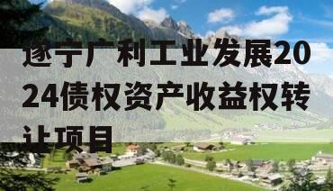 遂宁广利工业发展2024债权资产收益权转让项目