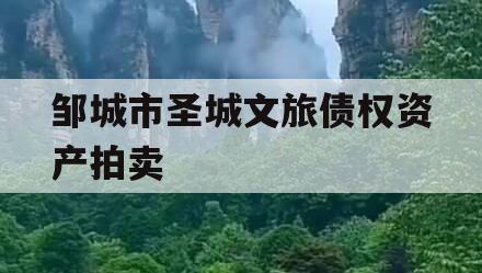 邹城市圣城文旅债权资产拍卖