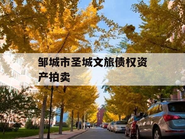 邹城市圣城文旅债权资产拍卖