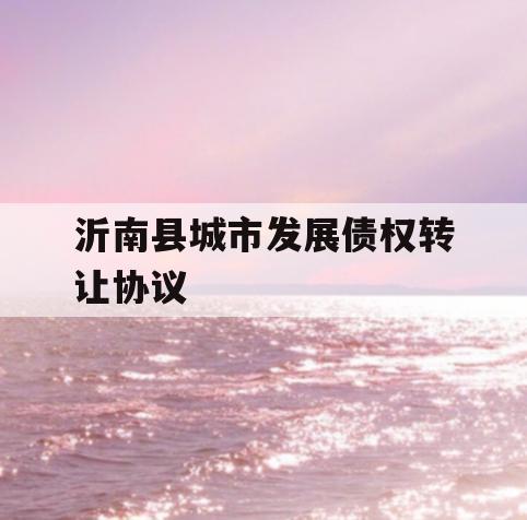 沂南县城市发展债权转让协议