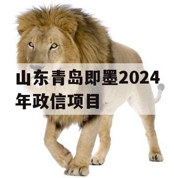 山东青岛即墨2024年政信项目