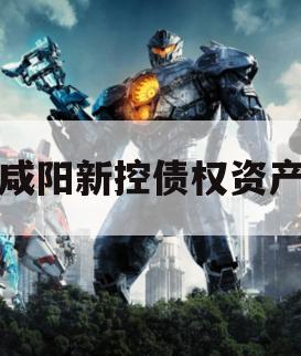 咸阳新控债权资产