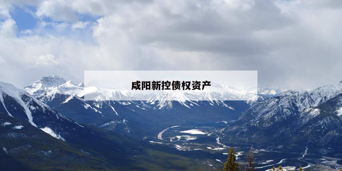 咸阳新控债权资产
