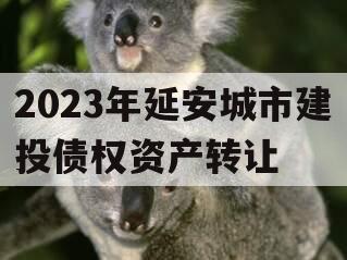 2023年延安城市建投债权资产转让