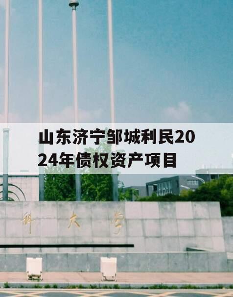 山东济宁邹城利民2024年债权资产项目