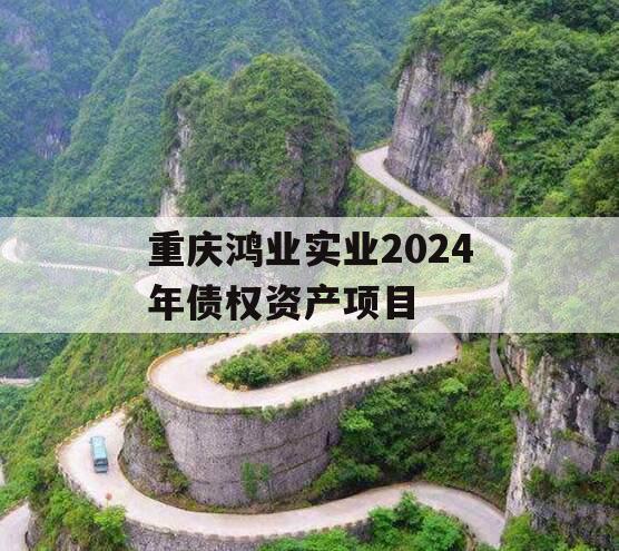 重庆鸿业实业2024年债权资产项目