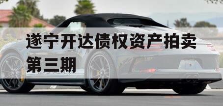 遂宁开达债权资产拍卖第三期