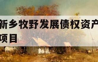 新乡牧野发展债权资产项目