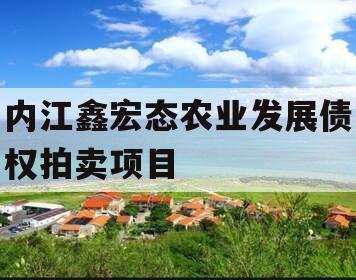 内江鑫宏态农业发展债权拍卖项目
