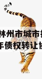 河南林州市城市投资2024年债权转让协议