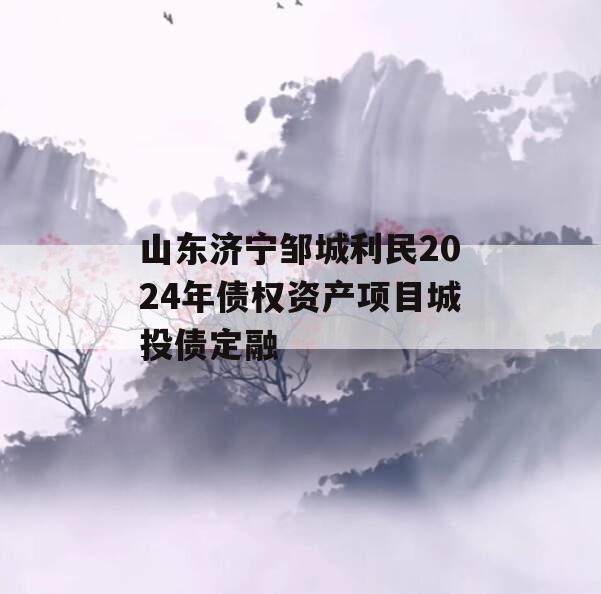 山东济宁邹城利民2024年债权资产项目城投债定融