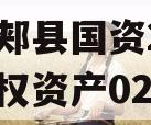 河南郏县国资2024年债权资产02