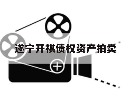 遂宁开祺债权资产拍卖