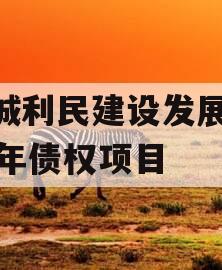 邹城利民建设发展2024年债权项目
