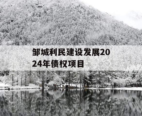 邹城利民建设发展2024年债权项目