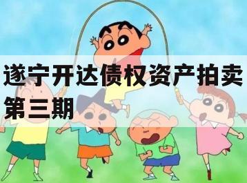 遂宁开达债权资产拍卖第三期