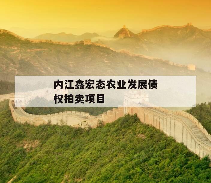 内江鑫宏态农业发展债权拍卖项目