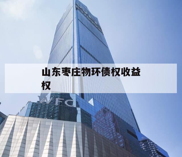 山东枣庄物环债权收益权