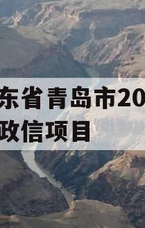 山东省青岛市2024年政信项目