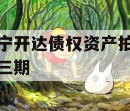 遂宁开达债权资产拍卖第三期