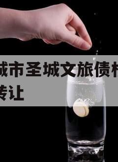 邹城市圣城文旅债权资产转让