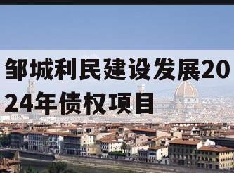 邹城利民建设发展2024年债权项目
