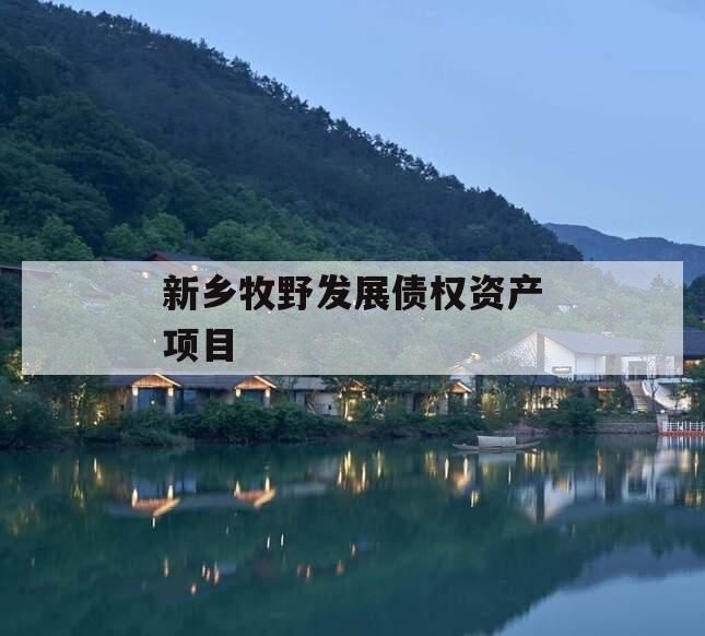 新乡牧野发展债权资产项目