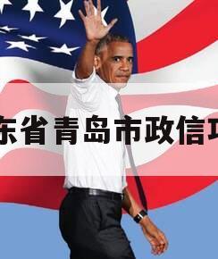 山东省青岛市政信项目