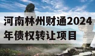 河南林州财通2024年债权转让项目