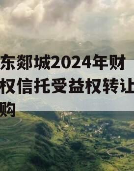 山东郯城2024年财产权信托受益权转让及回购