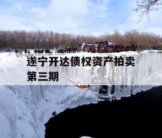 遂宁开达债权资产拍卖第三期
