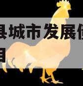 沂南县城市发展债权转让项目