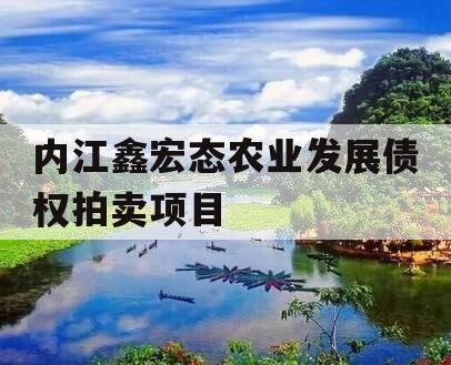 内江鑫宏态农业发展债权拍卖项目