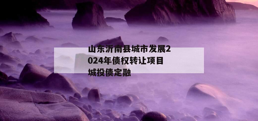 山东沂南县城市发展2024年债权转让项目城投债定融