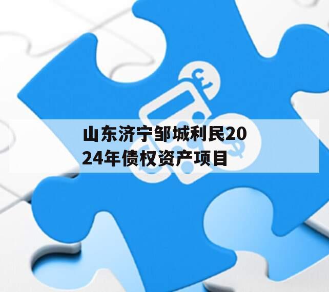 山东济宁邹城利民2024年债权资产项目