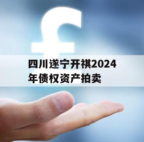 四川遂宁开祺2024年债权资产拍卖