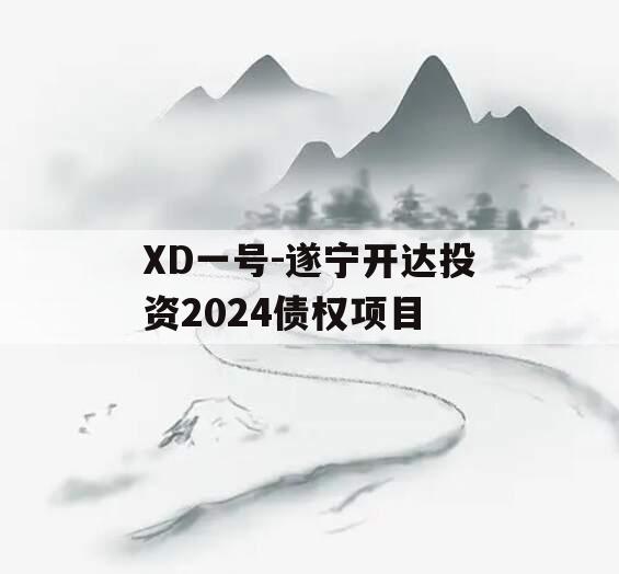 XD一号-遂宁开达投资2024债权项目