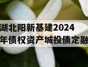 湖北阳新基建2024年债权资产城投债定融
