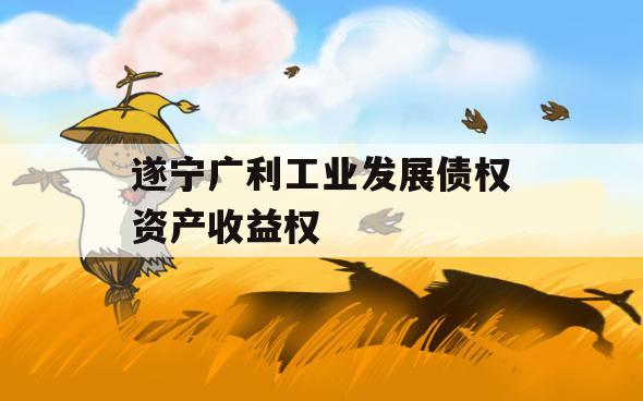 遂宁广利工业发展债权资产收益权