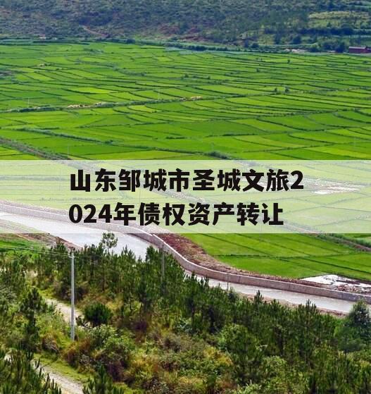 山东邹城市圣城文旅2024年债权资产转让