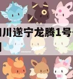 四川遂宁龙腾1号-2期