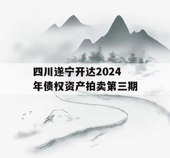 四川遂宁开达2024年债权资产拍卖第三期