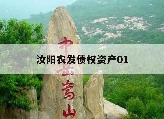 汝阳农发债权资产01
