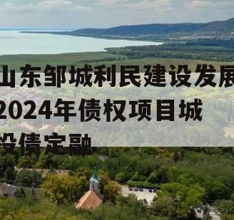 山东邹城利民建设发展2024年债权项目城投债定融