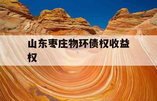 山东枣庄物环债权收益权
