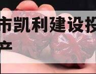 资阳市凯利建设投资债权资产