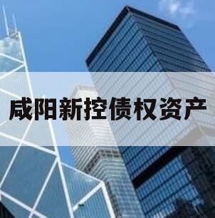 咸阳新控债权资产