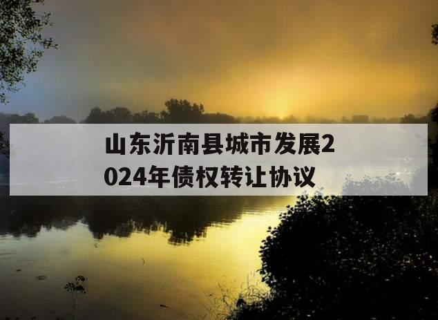 山东沂南县城市发展2024年债权转让协议